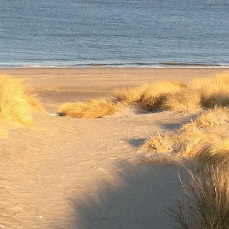 Auf Sylt In Meeresnahe Appartement
